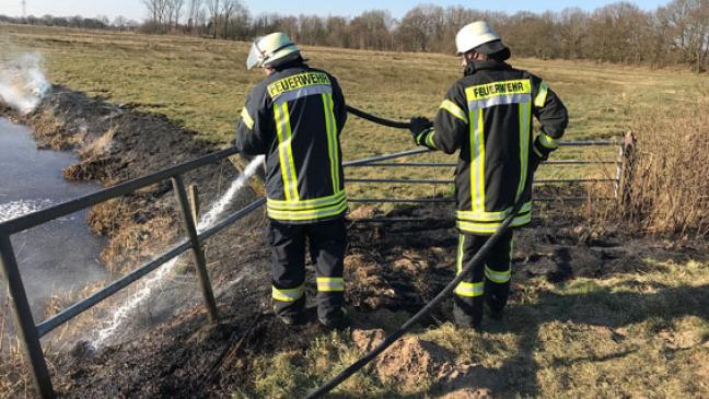 Trockenes Gras gerät in Brand