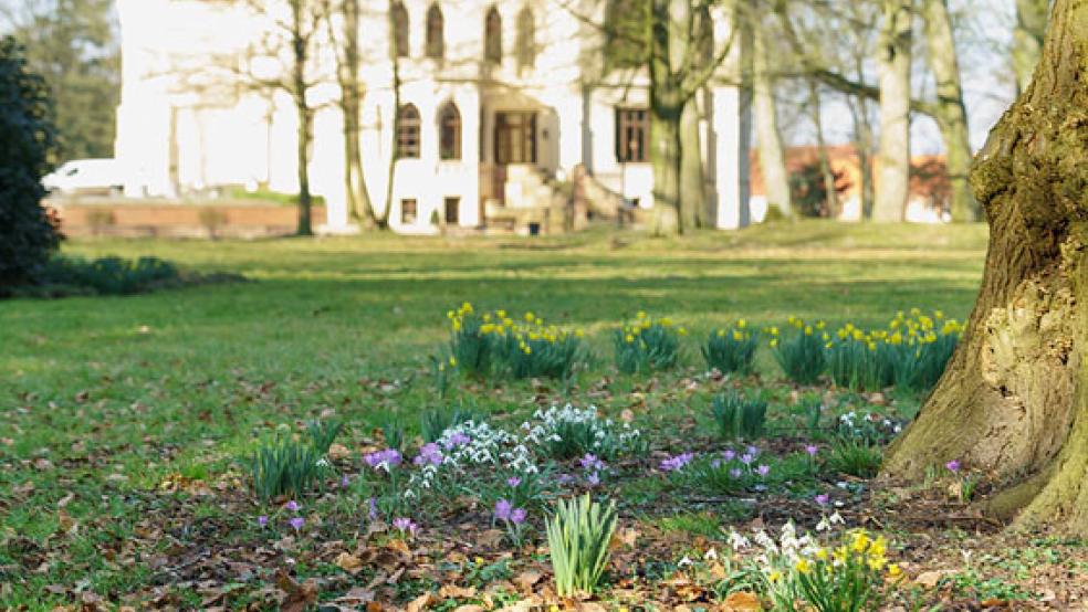 Schloss Evenburg startet unter anderem mit der Themenführung »Frühblüher« in die neue Saison. © Foto: Kreis Leer