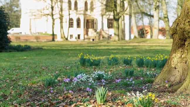 Naturgrafie und Frühblüher