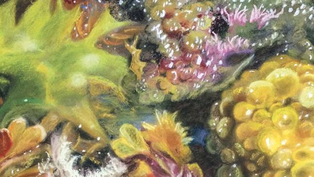 Pflanzen aus Sicht der Kunst