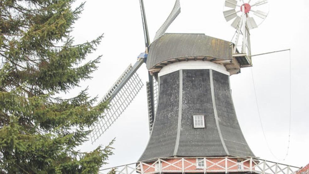 Die Mühle in Möhlenwarf ist ein Baudenkmal, deshalb gibt es Einschränkungen in der Farbwahl für Bauherren im Neubaugebiet »Alt Möhlenwarf«. © Foto: Hoegen
