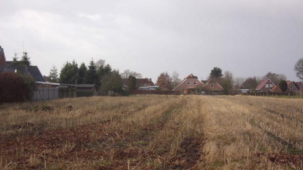 Aus Grünland wird Bauland: 17 Baugrundstücke sollen ausgewiesen werden. © Foto: privat