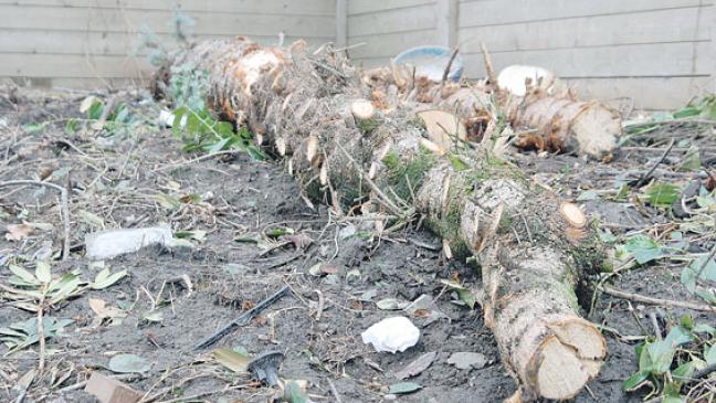 »Okay« von Bunde und Jemgum