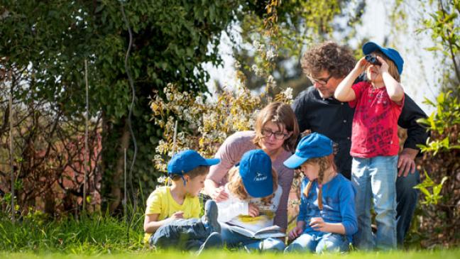 Vögel zählen von Vater- bis Muttertag