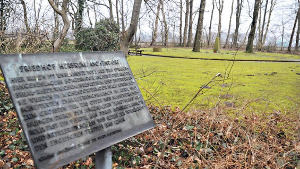 Von kahlen Bäumen umsäumt, liegt der vermooste Friedhof »Herbrum/Aschendorf« abseits eines unbefestigten Feldweges. © Foto: Schade