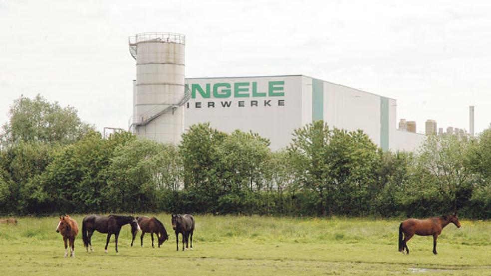 Der Klingele-Papierfabrik in Weener widmet sich ein Vortrag im »Hafen 55«. © Foto: Szyska