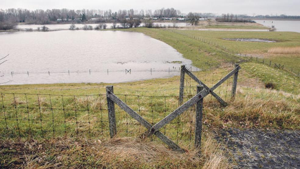 Durch den Ems-Aufstau bildeten der Baggersee beim Campingplatz (im Hintergrund) und die überflutete Weide zwischen Haupt- und Sommerdeich in Bingum gestern ein großes Gewässer. © Foto: Szyska