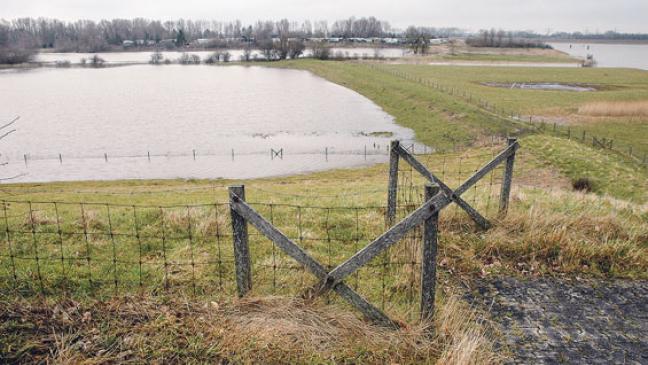»Meine Weide steht immer unter Wasser«