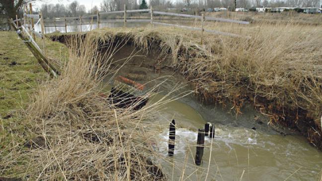 »Ems Marina« soll Schaden beheben