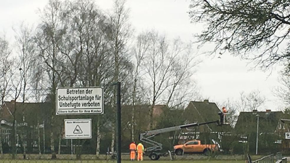 Lichten für mehr Licht: Bauhof-Mitarbeiter schneiden Bäume und Büsche um die Lichtmasten am Sportplatz in Holthusen. © Foto: Boelmann