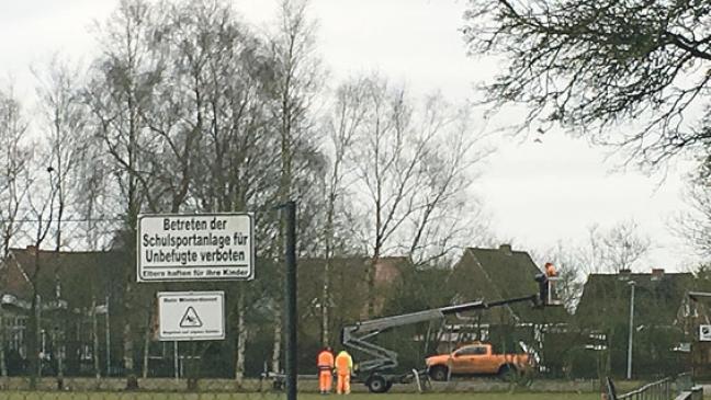 Stadt lässt Flutlichtmasten freischneiden