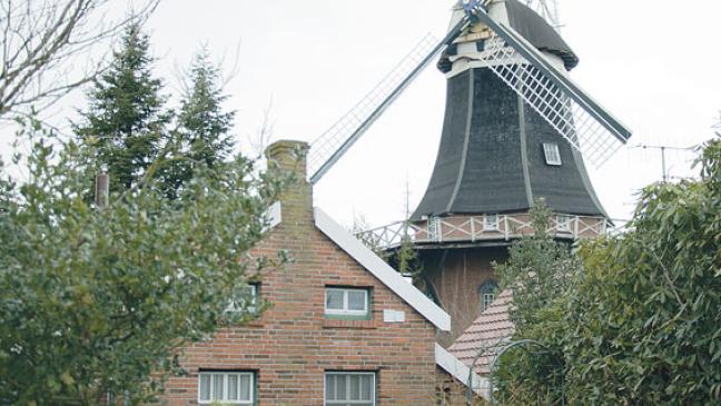 Möhlenwarfer Mühle zum Verkauf