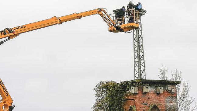 Pferdeäpfel als Geheimtipp