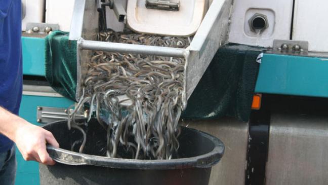 Angelsport auf fast 27 Hektar möglich