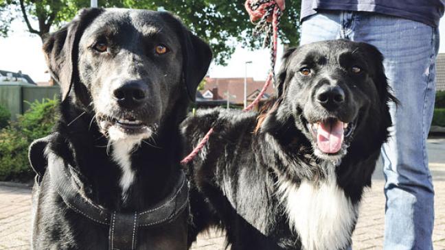 Nur Ditzum kommt  in Frage