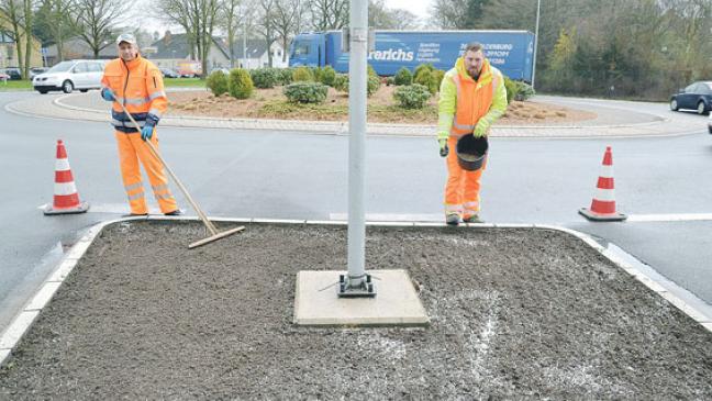 Saat-Test mit Wildblumen in Weener