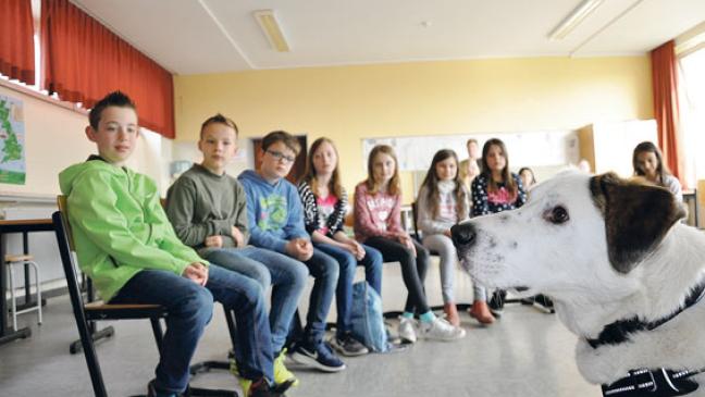 Vom Schulhund bis zur Geheimtinte