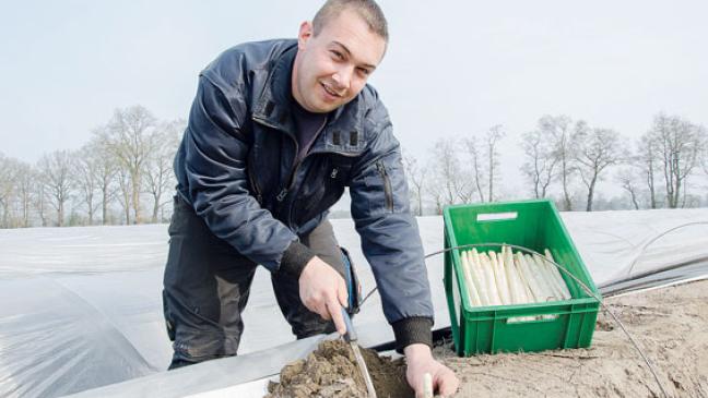 Spitzen-Einsatz an den Dieler Dämmen