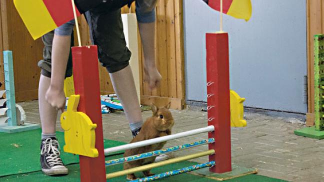 »Mogway« ist der lokale Champion