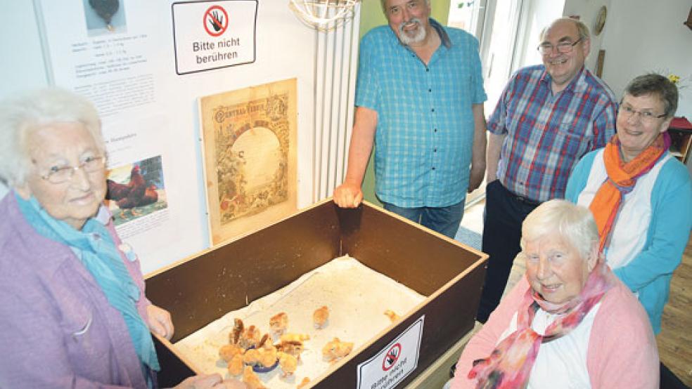 Flauschige Gäste in der Seniorenresidenz: Gerhard Niemann und Evert Druivenga (hinten von links) vom Rassegeflügelzuchtverein brachten 20 Küken vorbei. Der Schaukasten wurde übrigens extra dafür vom Vereinsmitglied Klaas Feikens gebaut.  © Fotos: Himstedt