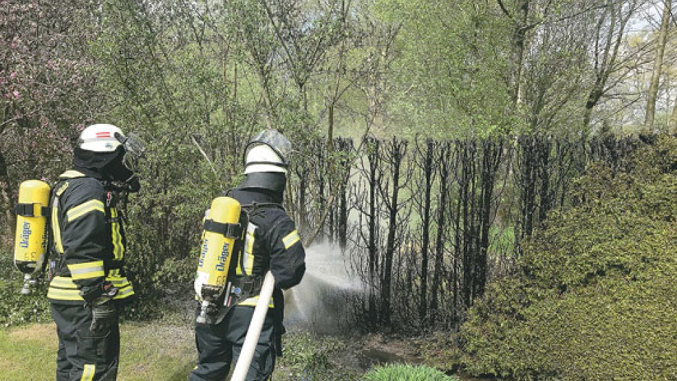 Die Feuerwehr war am Montag in Leer im Einsatz. Eine Hecke war in Brand geraten. © Foto: Kreisfeuerwehr