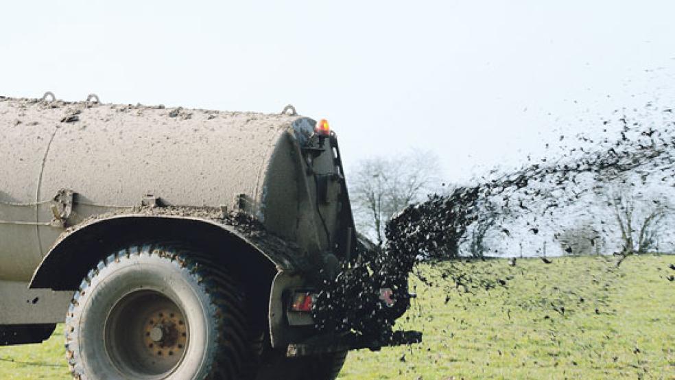 Rund 98.500 Tonnen Gülle wurden von Anfang Juli 2016 bis Ende Juni 2017 aus anderen Gegenden in den Landkreis Leer importiert, die Ausfuhr lag bei 43.500 Tonnen. © Foto: Pixabay