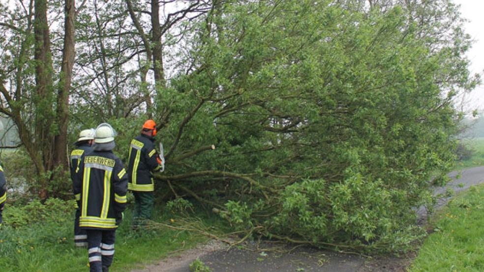  © Foto: Rand (Feuerwehr) 