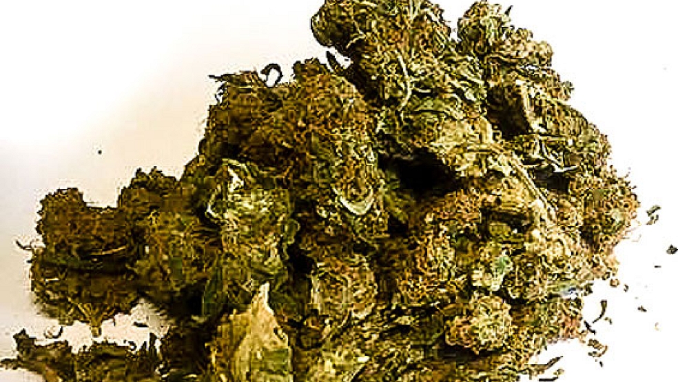 Ein Großteil des geschmuggelten Marihuanas, das die Zollbeamten in Bunde sicherstellten. © Foto: Zoll