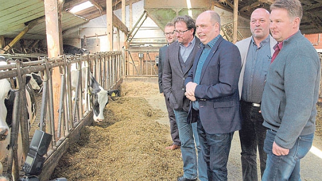 Ostfrieslands Milchbauern fehlen 3,5 Millionen Euro
