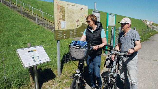 »Fluchthelfer riskierten ihr eigenes Leben«