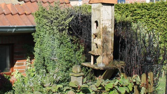 Brennende Hecke  in Holthusen