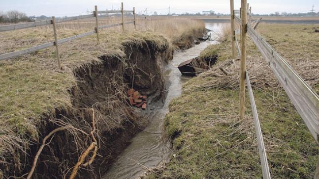 Stadt steht für »Ems Marina« gerade