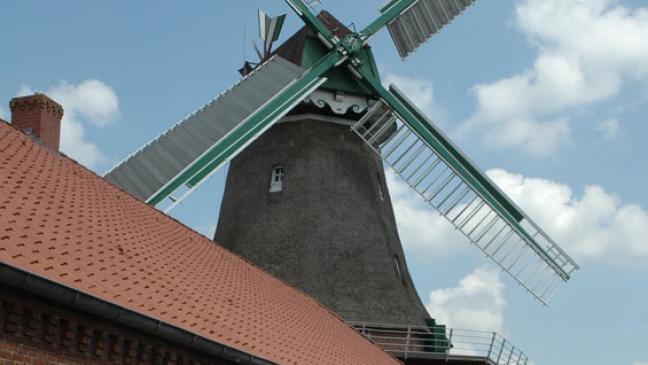 Mühlentag mit Matjes und Likör