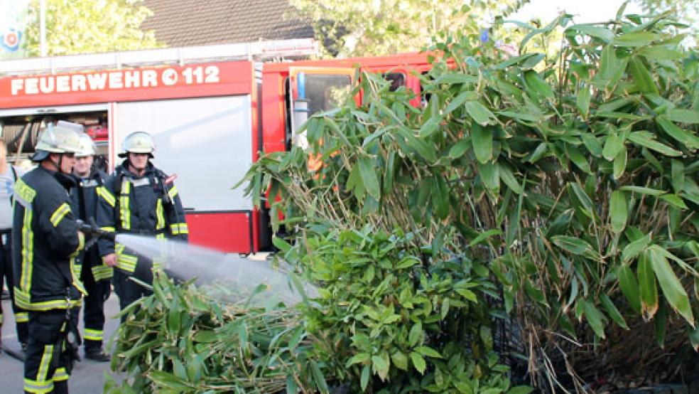  © Foto: Feuerwehr (Rand)