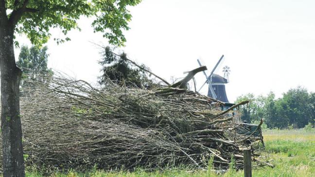 Brüter beim  Baugebiet