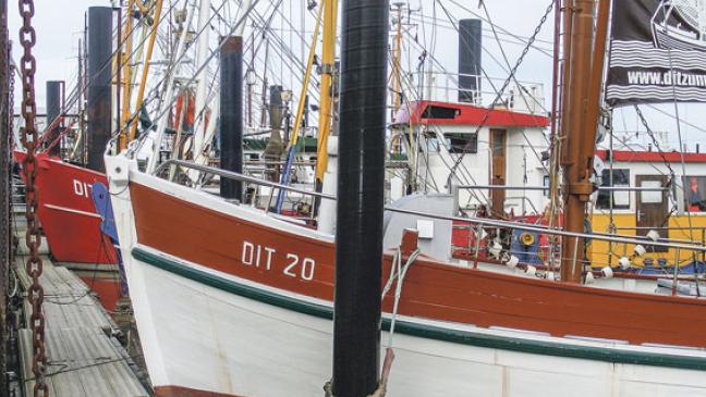 Krabbenfischer  bangen um Existenz