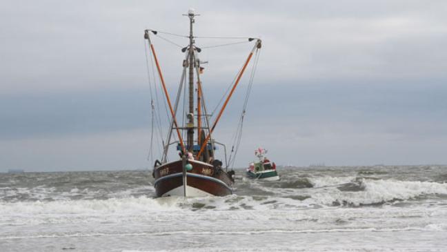 Fischkutter strandet auf Wangerooge