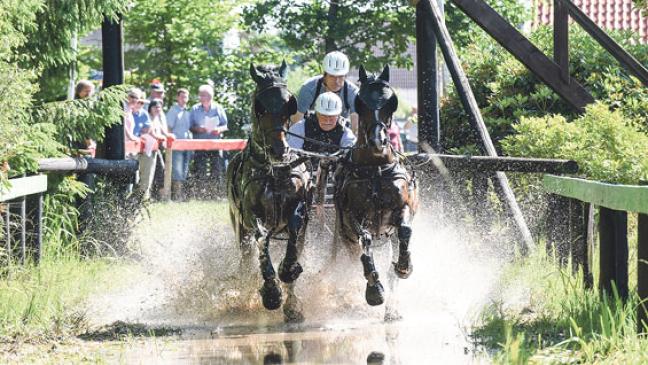 Fast 1000 Startplätze für Reitturnier in Emden reserviert