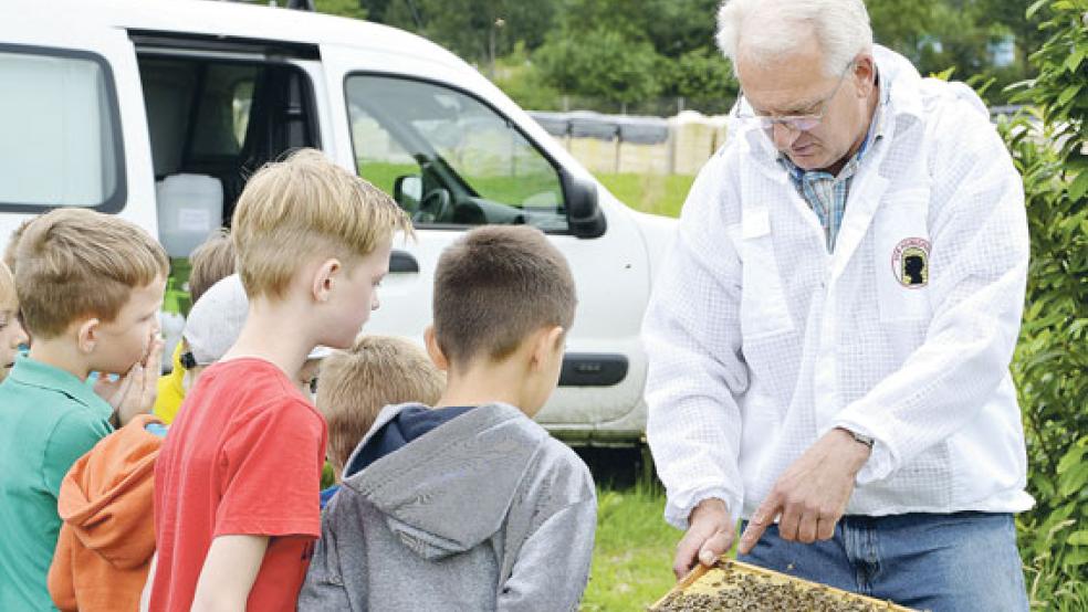 Imker Gerhard Brunken zeigte den Grundschulkindern aus Nortmoor die entnommene Bienenwabe auf dem Bünting-Gelände. © Foto: Bünting