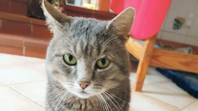 Ein Kumpel nur wenn er will