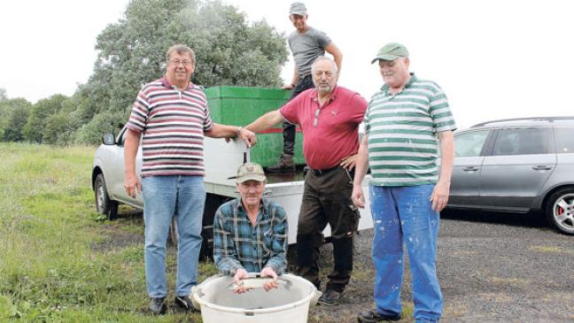 Angler setzen über 200 Zander in Vereinsgewässern aus