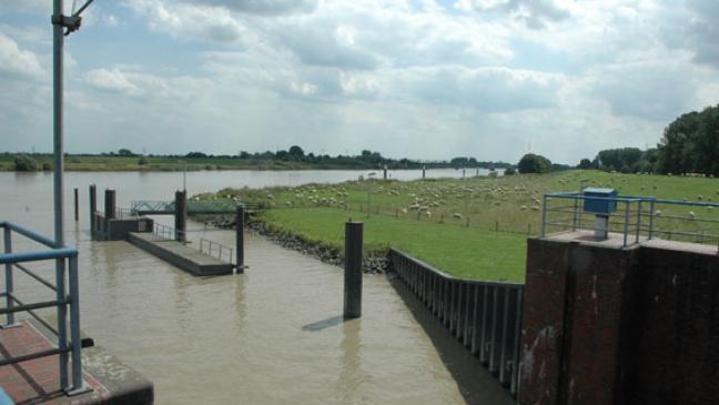 Fähre soll vorerst gratis fahren