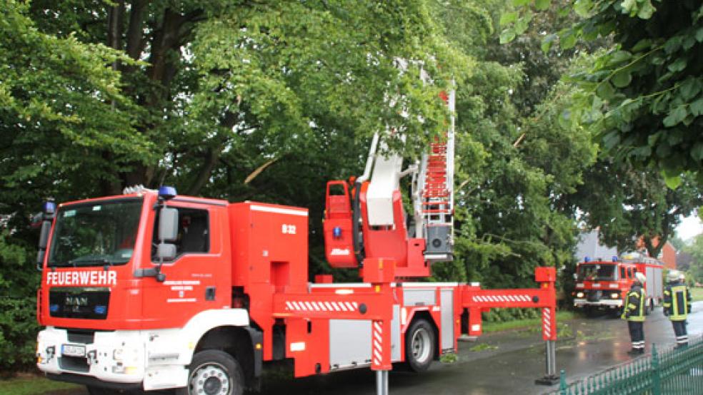 An der Hauptstraße in Stapelmoor hing ein abgebrochener Ast in einer Baumkrone. © Foto: J. Rand (Feuerwehr)