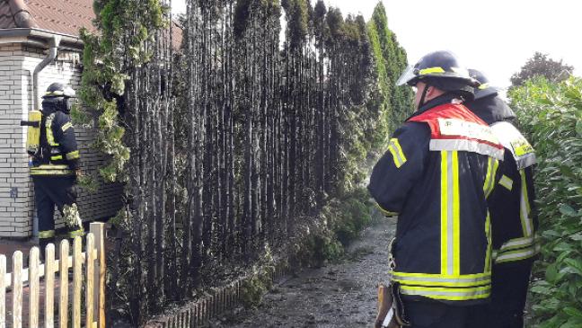 Gasbrenner setzt Hecke in Flammen