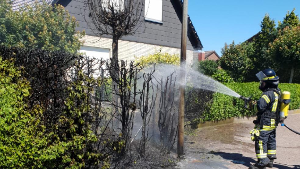 Diese brennende Hecke an der Ringstraße in Bunde konnte die Feuerwehr schnell löschen. © Foto: Feuerwehr