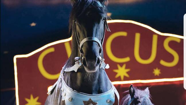 »Circus Bernardo« zu Gast in Bunde