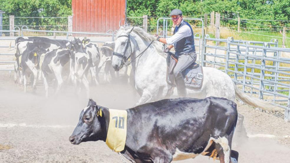 Aus ganz Deutschland kamen die Teilnehmer zusammen. Auch Arnaud Petit aus Oberbayern machte sich auf den langen Weg in den Norden. Gekonnt separierte er die ausgewählte Kuh von ihrer Herde. © Foto: Gleich
