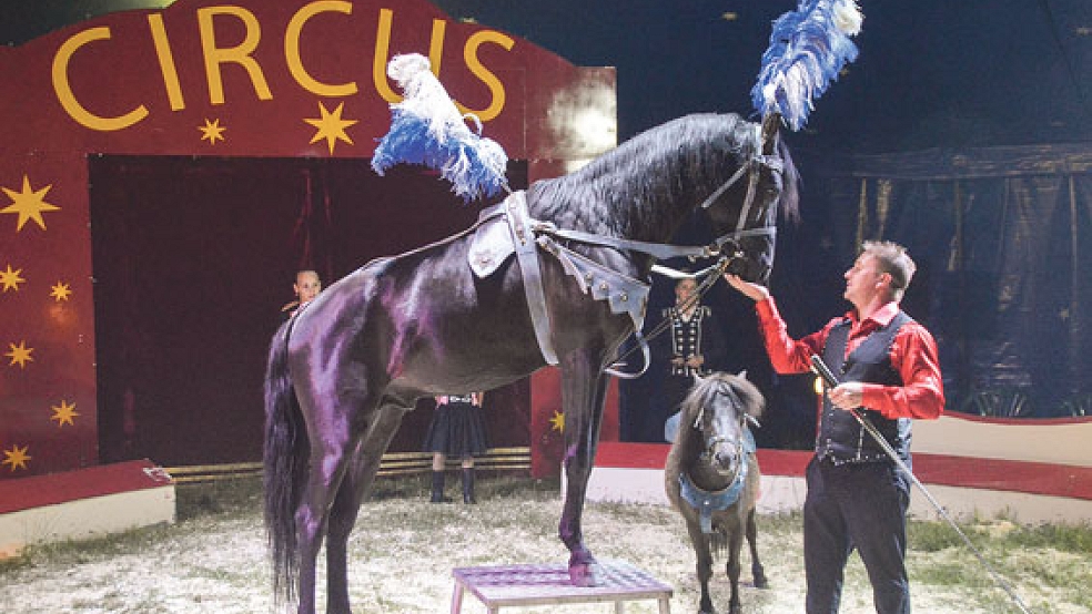 Zirkuschef Armando hat die Pferde-Darbietung im Griff.  © Fotos: Himstedt