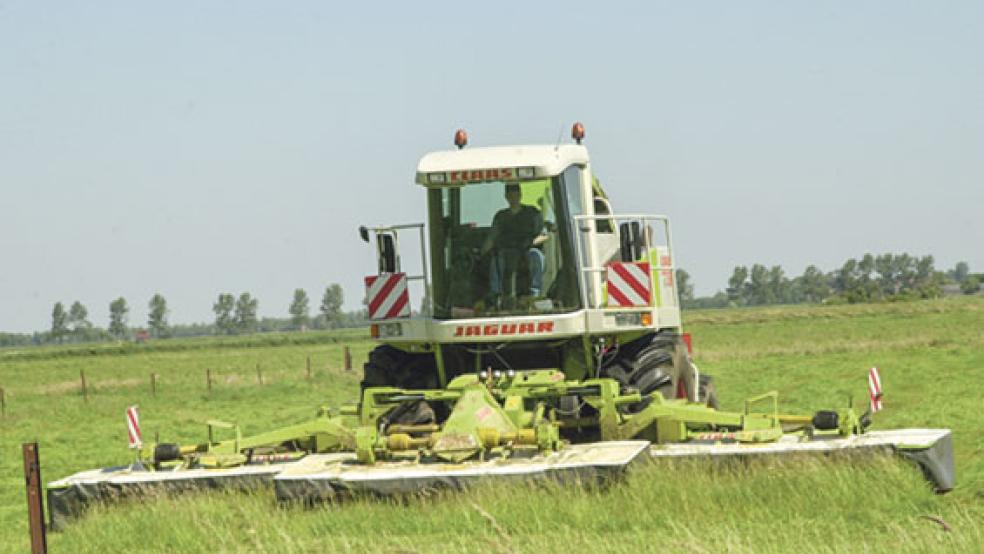 Die Trockenheit macht den Landwirten in der Region sehr zu schaffen. Auch im Rheiderland drohen Einbußen bei der Ernte.  © Archivfoto: Hoegen