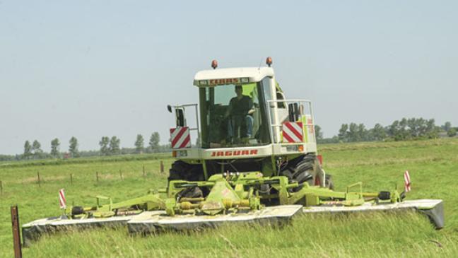 Kein Aufatmen nach ersten Regentropfen